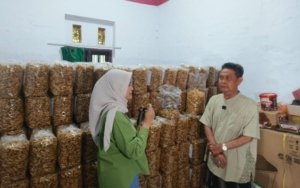 Dari Talun, Sumpia Udang Maksum Tembus Pasar Jatim hingga Palembang, Produksi Capai 1 Ton per Hari