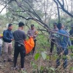 Penemuan Tengkorak Manusia di Perkebunan, Polisi Temukan KTP dan Kabel Listrik