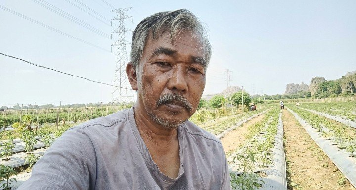Ketika Cangkul Menjadi Jalan Pulang Mbah Rudi O Ketika Cangkul Menjadi Jalan Pulang Mbah Rudi O