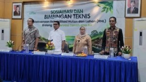 Ahmad Yohan Dorong Penguatan Rehabilitasi Hutan dan Lahan
