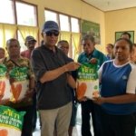 Kadistan NTT Sebut 24,55 Ton Benih Jagung Hibrida yang Disalurkan Usman Husin di Kabupaten Kupang Potensi Hasilkan 10 Ton per Hektare