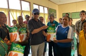 Kadistan NTT Sebut 24,55 Ton Benih Jagung Hibrida yang Disalurkan Usman Husin di Kabupaten Kupang Potensi Hasilkan 10 Ton per Hektare