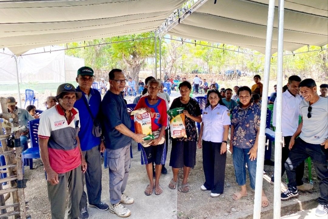 92 Kelompok Tani di Rote Barat Daya Terima 15 Ton Benih Jagung Aspirasi Usman Husin 92 Kelompok Tani di Rote Barat Daya Terima 15 Ton Benih Jagung Aspirasi Usman Husin