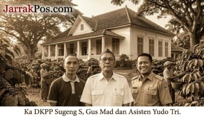 Jejak Kejayaan Kopi Pacitan: Dari Perkebunan Nawangan hingga Meja Elite Eropa