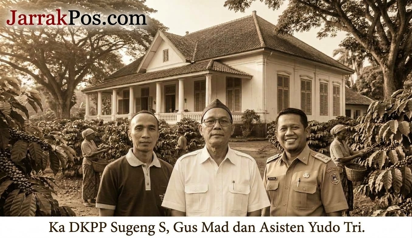 Jejak Kejayaan Kopi Pacitan: Dari Perkebunan Nawangan hingga Meja Elite Eropa