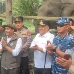 Menteri Kehutanan Bersama Pangdam XIX/TT Kunjungi Tesso Nilo, Soroti Peran Flying Squad Lindungi Satwa Liar
