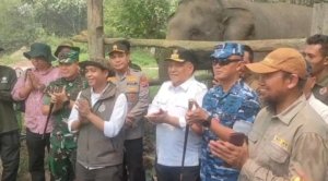Menteri Kehutanan Bersama Pangdam XIX/TT Kunjungi Tesso Nilo, Soroti Peran Flying Squad Lindungi Satwa Liar