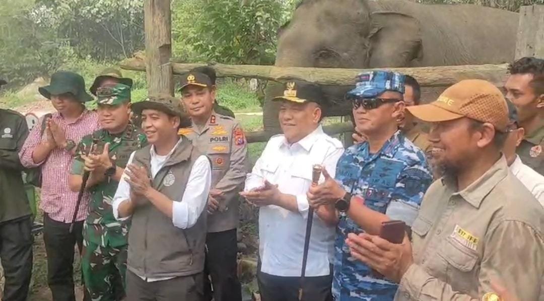 Menteri Kehutanan Bersama Pangdam XIX/TT Kunjungi Tesso Nilo, Soroti Peran Flying Squad Lindungi Satwa Liar