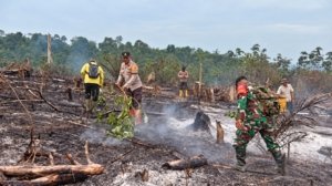 Kodam XIX/Tuanku Tambusai Perkuat Upaya Pemadaman Karhutla, Lahan Gambut dan Akses Sulit Jadi Tantangan