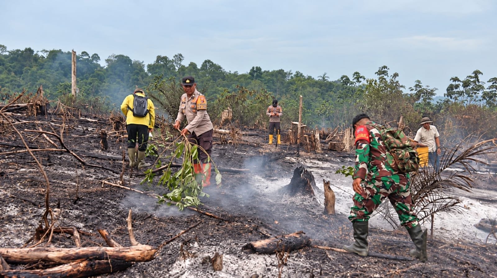 Kodam XIX/Tuanku Tambusai Perkuat Upaya Pemadaman Karhutla, Lahan Gambut dan Akses Sulit Jadi Tantangan Kodam XIX/Tuanku Tambusai Perkuat Upaya Pemadaman Karhutla, Lahan Gambut dan Akses Sulit Jadi Tantangan