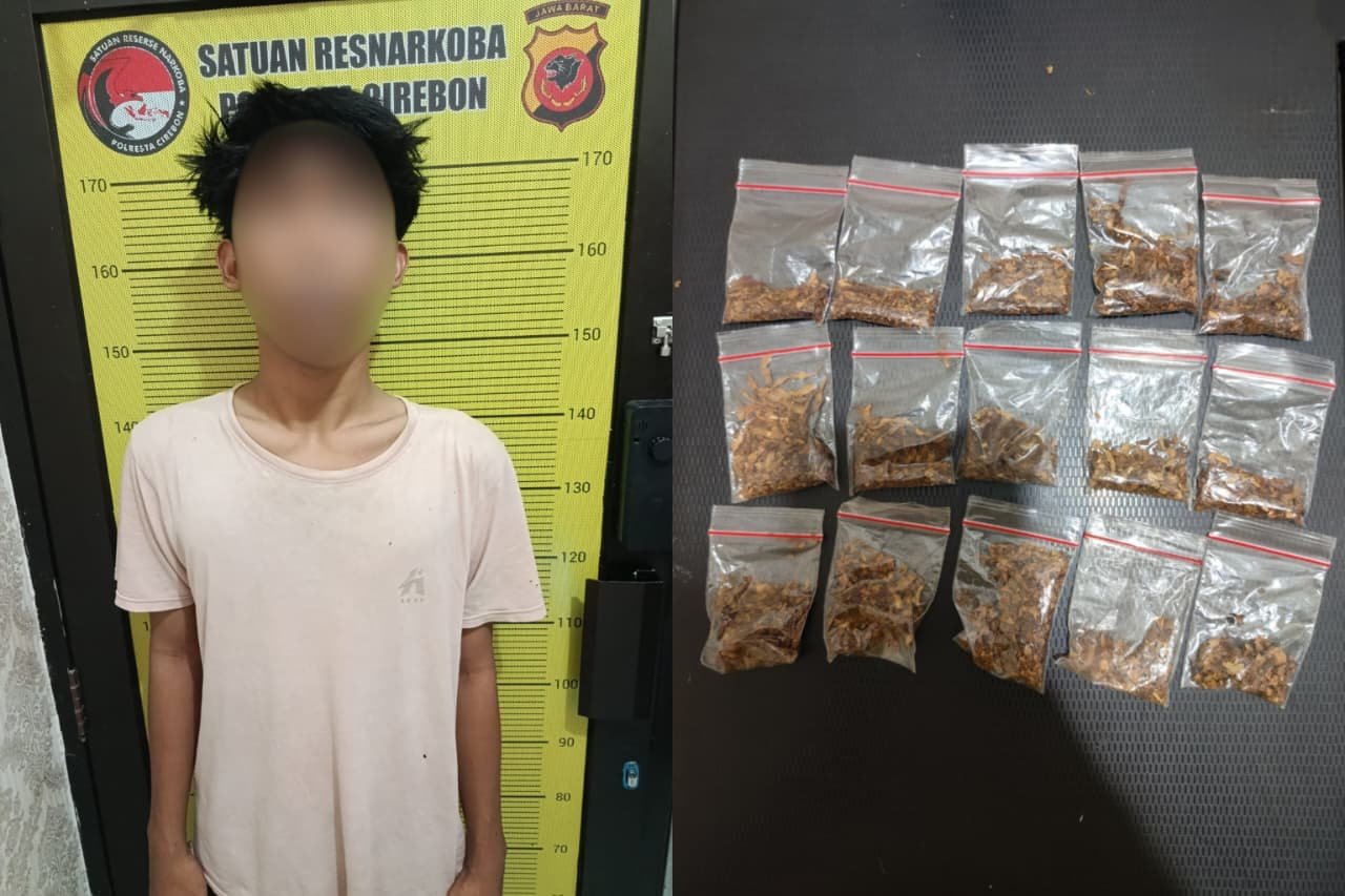 Polresta Cirebon Gagalkan Peredaran Tembakau Sintetis di Palimanan, Satu Tersangka dan 15 Paket Barang Bukti Diamankan
