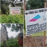 Hulu Sungai Senepis, Riwayatmu Koyak
