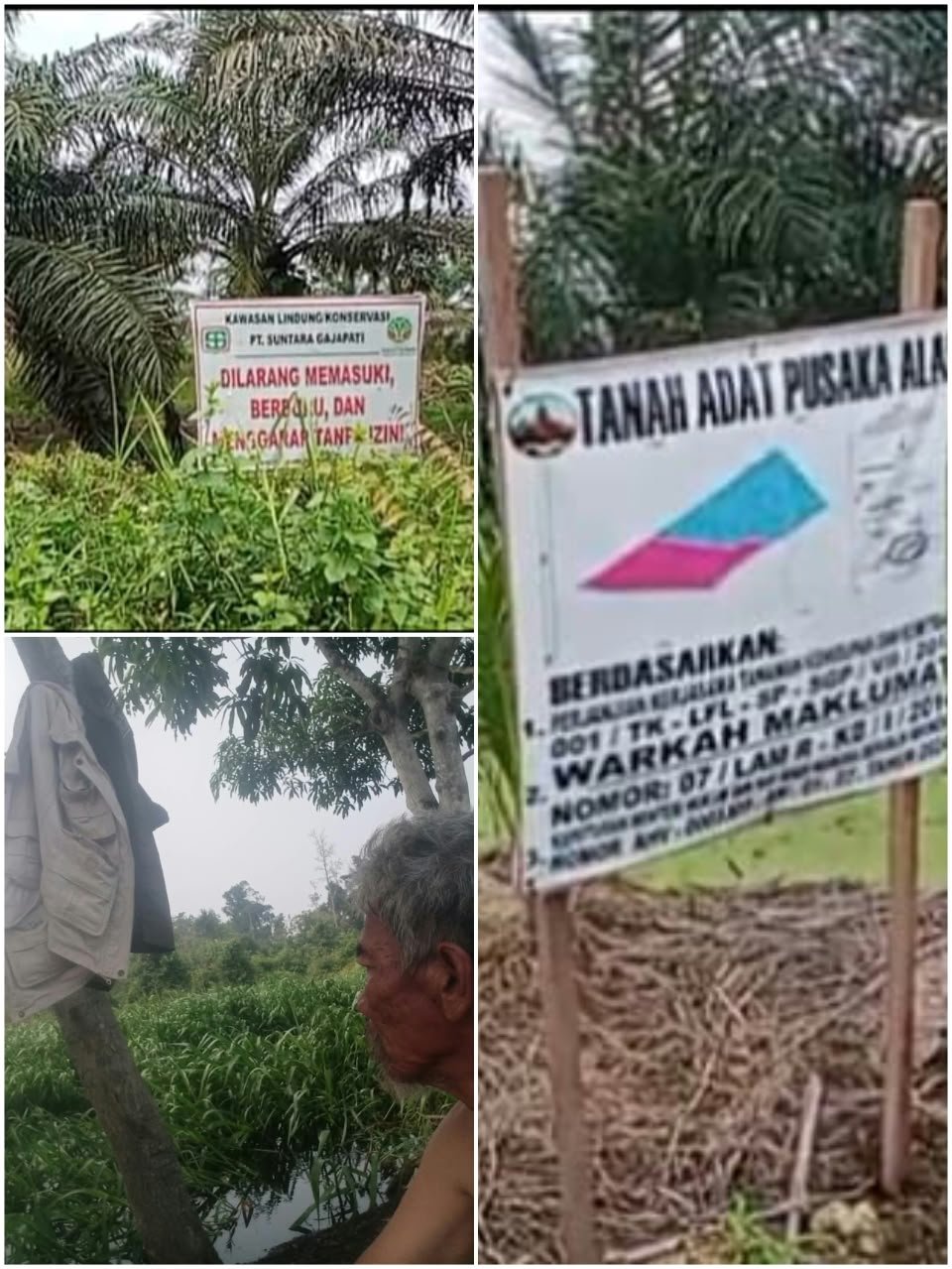 Hulu Sungai Senepis, Riwayatmu Koyak Hulu Sungai Senepis, Riwayatmu Koyak
