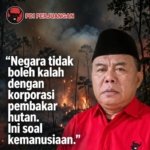 Prihatin Karhutla di Kalimantan, Ketua PAC PDI Perjuangan Tapos H. N. Zandi: Negara Harus Hadir, Ini Soal Kemanusiaan