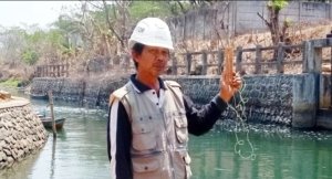Pilkada 2024 Kuras Rp48,5 Miliar APBD Pacitan, Pengamat Dorong KPU-Bawaslu Jadi Ad Hoc